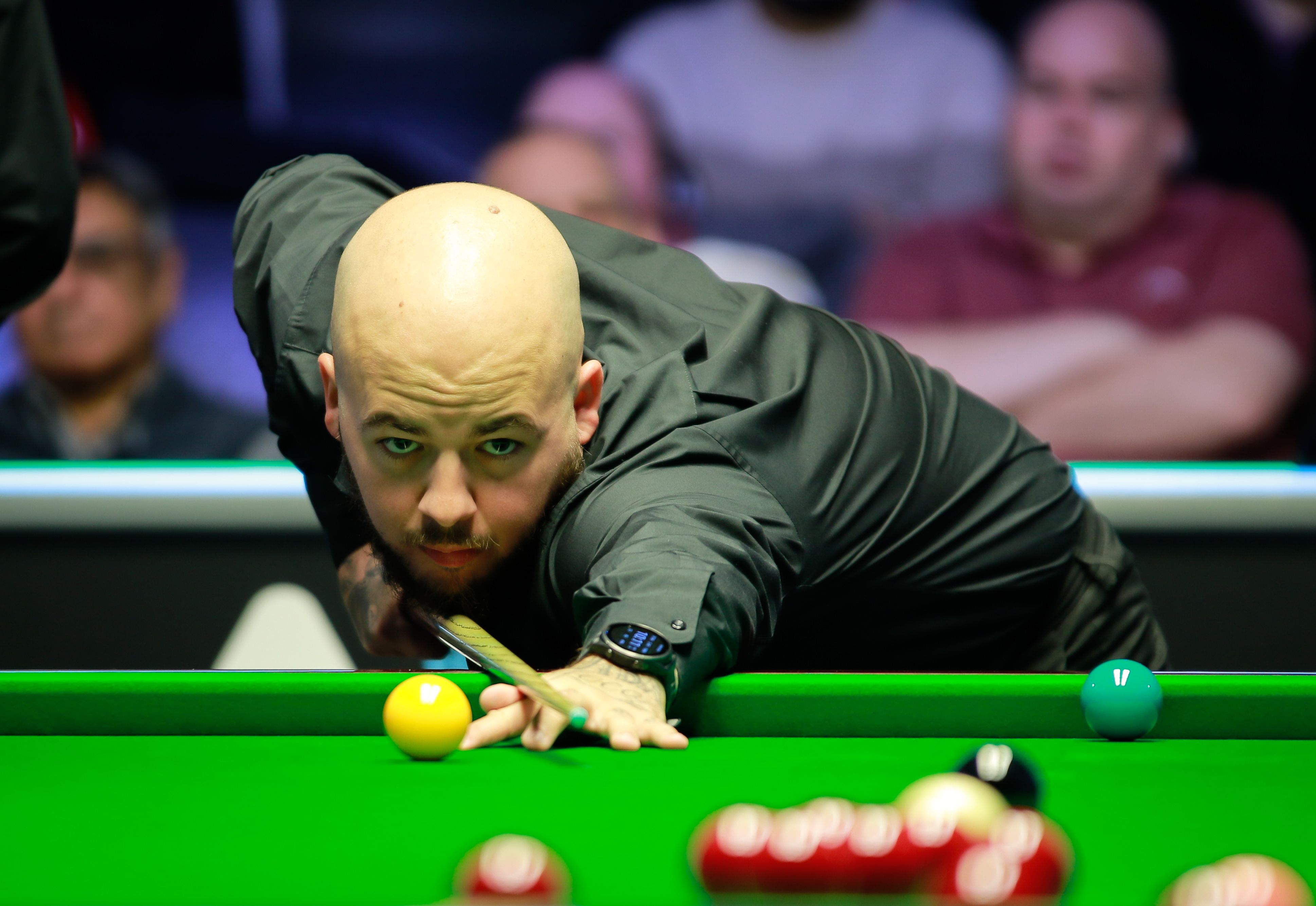 森头脑聪明 森头脑聪明